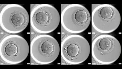 Среды культуральные URAL-M